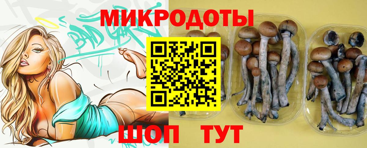 Галлюциногенные грибы мицелий  Вход с VPN  Псилоцибиновые грибы Psilocybine cubensis  Заречный 