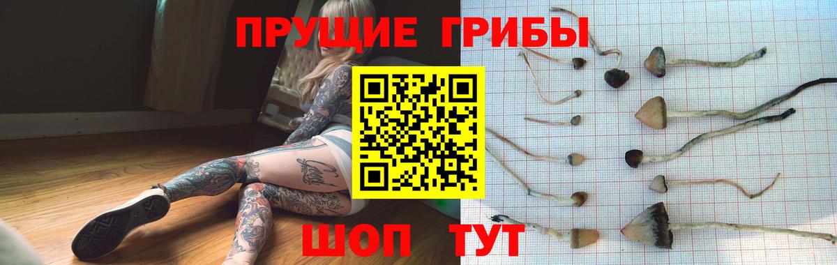 Галлюциногенные грибы ЛСД Заречный
